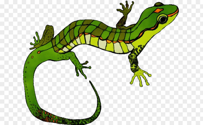 Animal Figure Scaled Reptile Lizard Terrestrial Green Gecko PNG