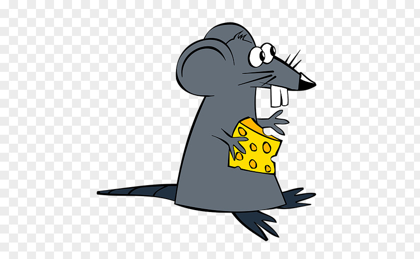 Cartoon Rat Mouse Muridae Muroidea PNG