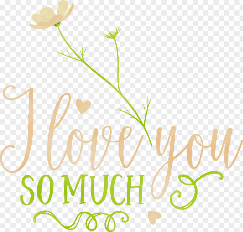 Floral Design PNG