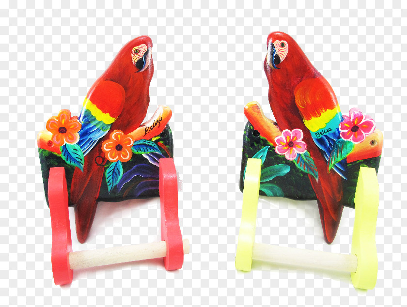 Scarlet Macaw Parakeet Feather Beak Pet PNG