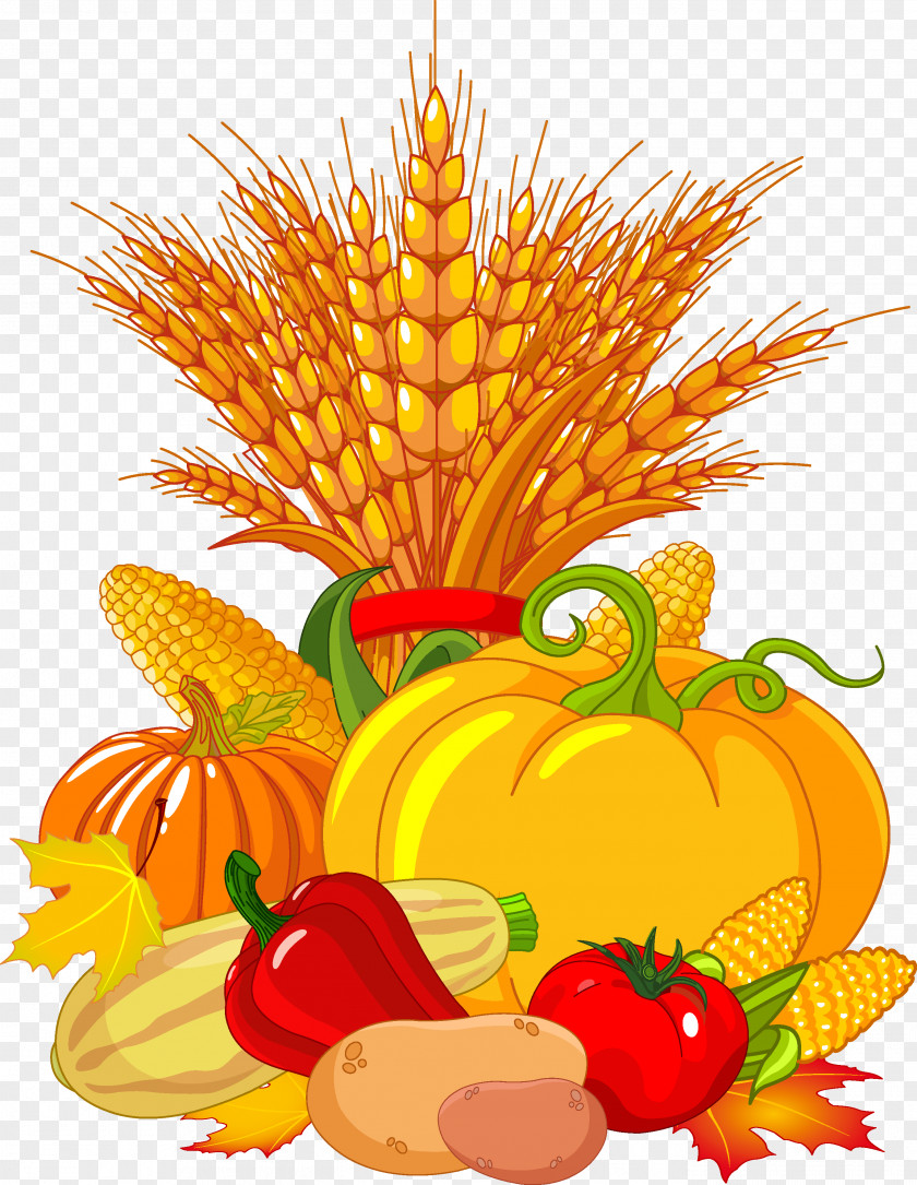 Thanks Giving Harvest Festival Autumn Fruit Clip Art PNG