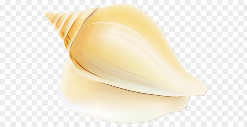 Beige Shell Shankha Conch PNG