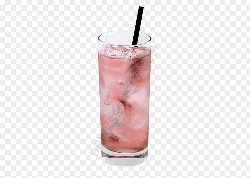 Cocktail Bay Breeze Garnish Chambord Liqueur Gin PNG