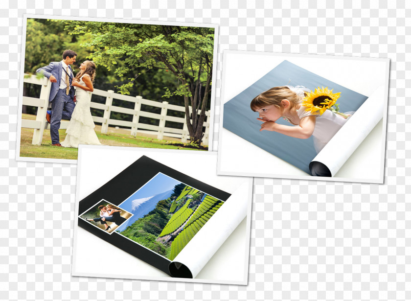 Colorful Posters Photographic Paper Advertising Plastic Picture Frames PNG