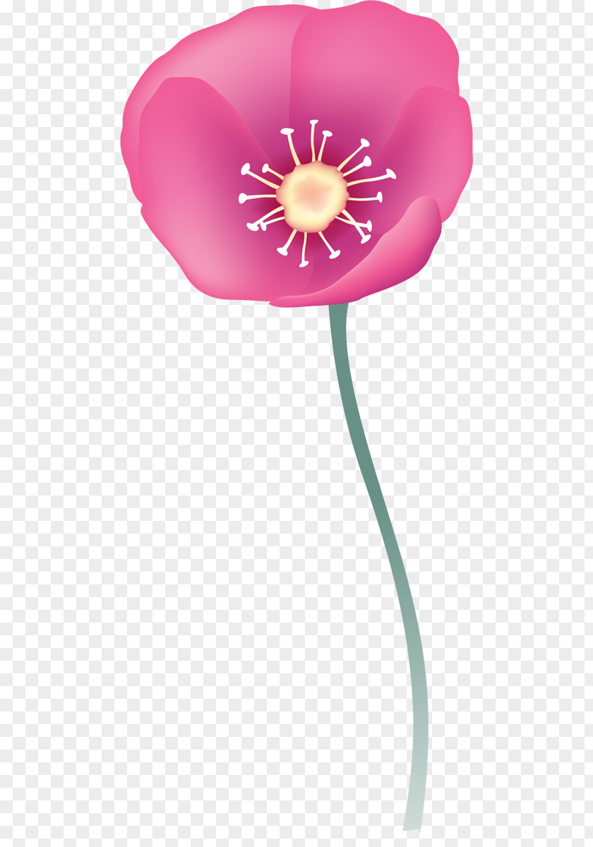 Design Petal Opium Poppy PNG