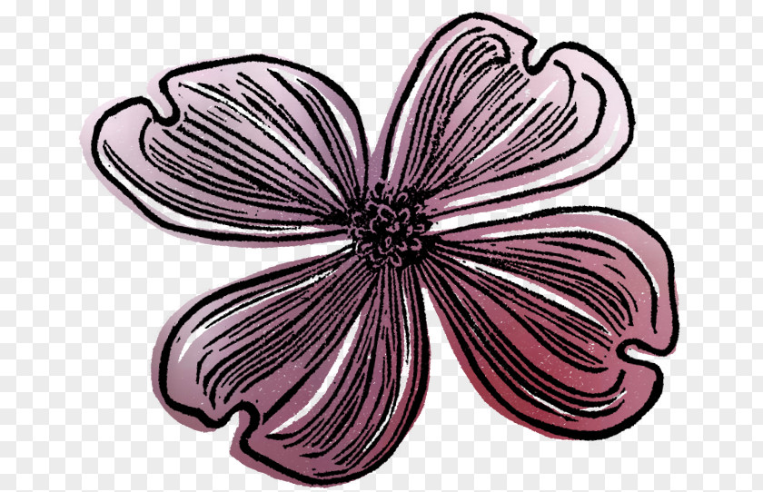 Layered Flower Petal Dragonfly Pattern PNG