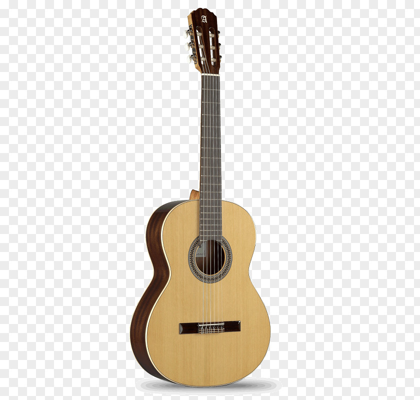 Seagull Ports Classical Guitar Steel-string Acoustic Electric PNG