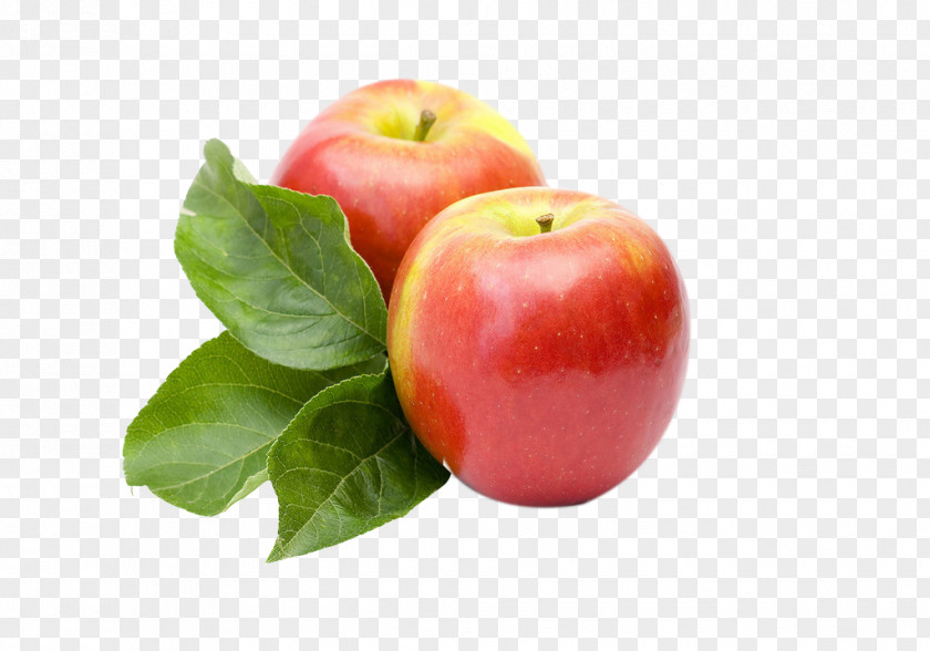 Apple Food Diet Constipation Eating Fruit PNG