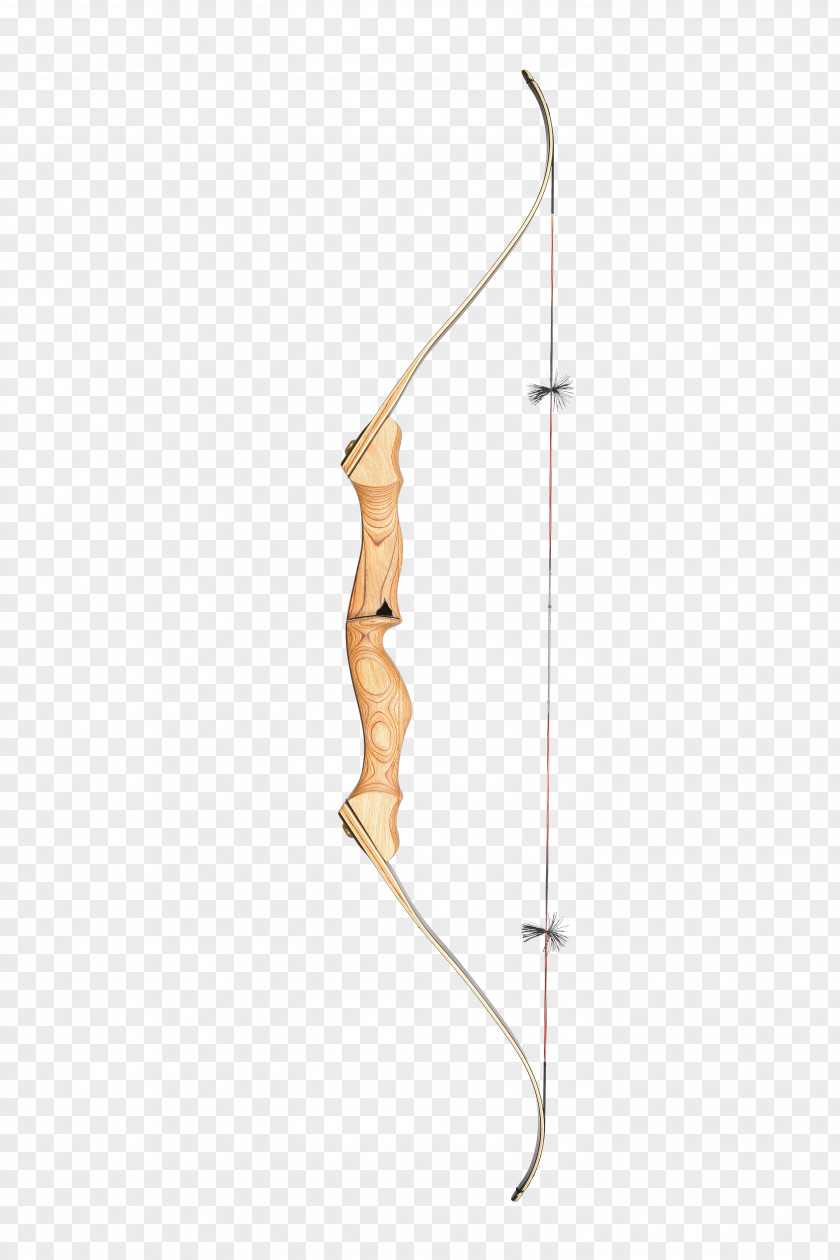 Bow And Arrow Recurve Archery PNG