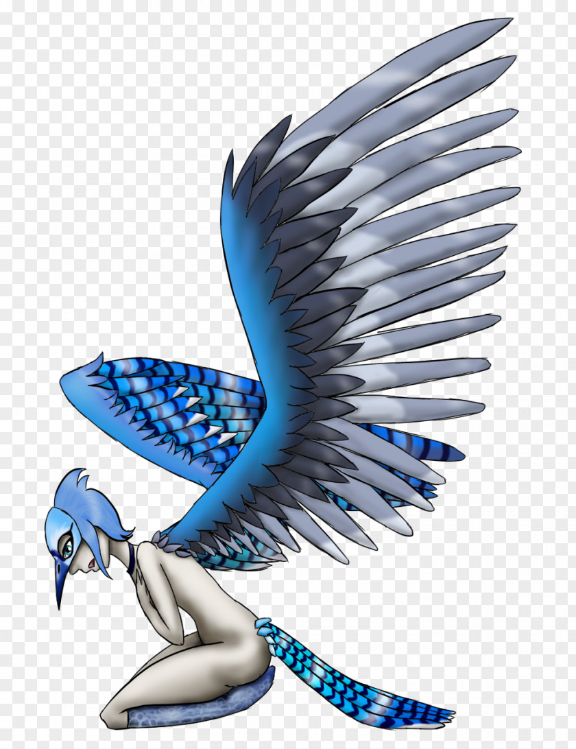 Eagle Beak Feather Neck Microsoft Azure PNG