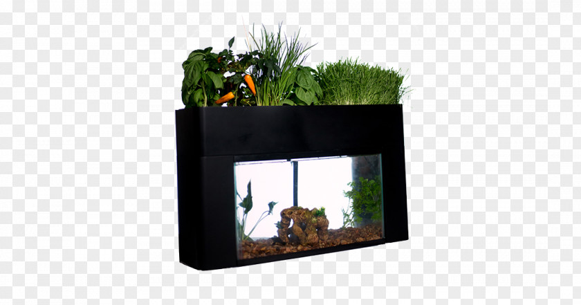 Fish Tank Gardening Aquaponics Aquarium Grow Light PNG