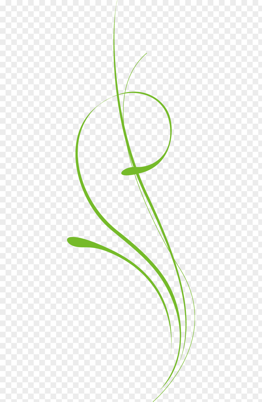 Grass Download PNG