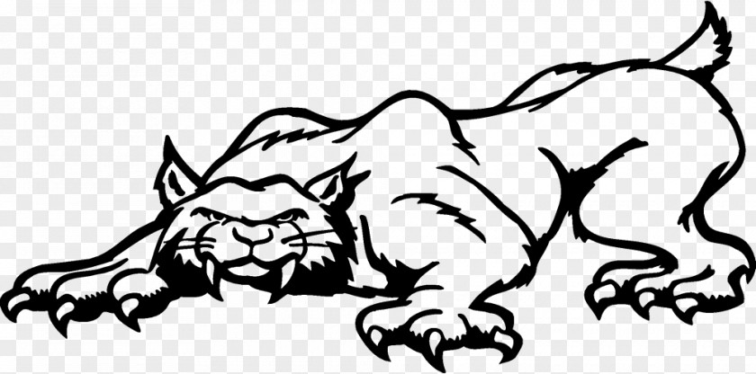 Lion Bobcat Felidae Cartoon Clip Art PNG