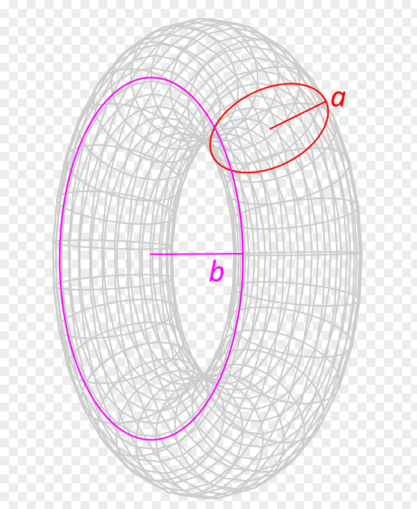Mathematics Torus Conjecture Homeomorphism 3-sphere PNG