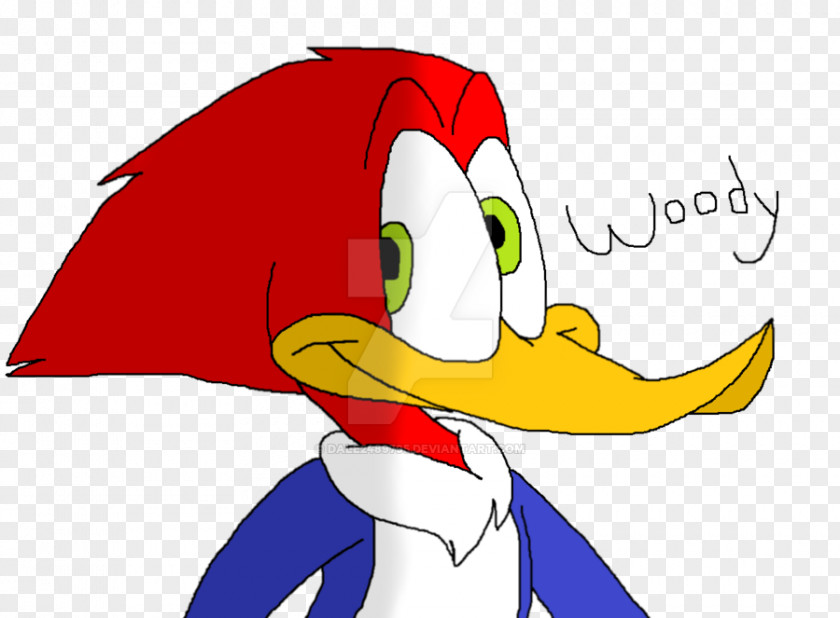 Woody Woodpecker Beak Cygnini Goose Duck PNG