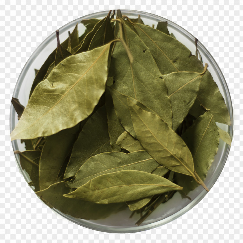 лавровый лист Bancha Herb PNG