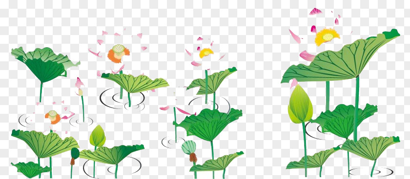 Green Lotus PNG