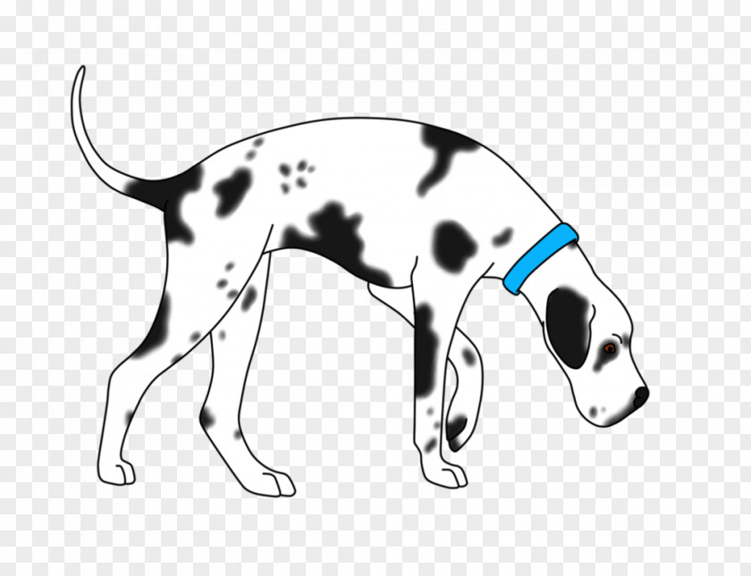Puppy Dalmatian Dog Italian Greyhound Breed PNG