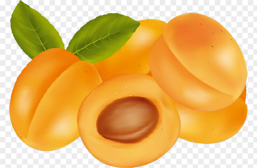 Apricot Fruit Kumquat Food PNG