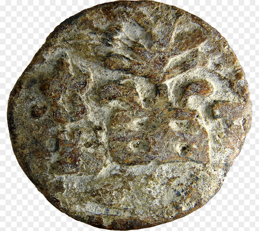 Coin Mineral Fossil Group PNG