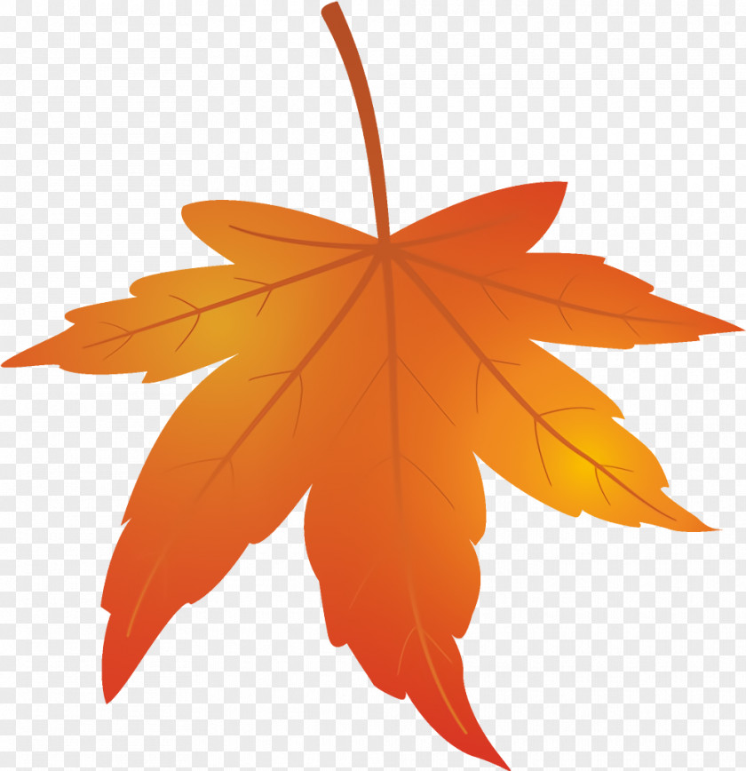 Deciduous Maple Leaf Autumn Yellow PNG