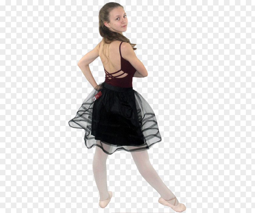 Dress Skirt Costume Tutu Waist PNG
