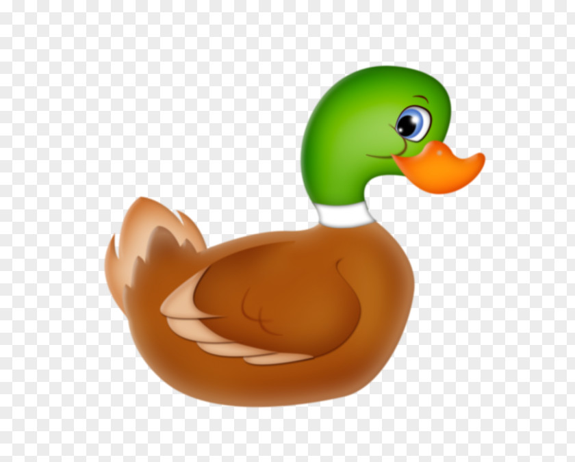 Duck Clip Art Mallard Openclipart Drawing PNG