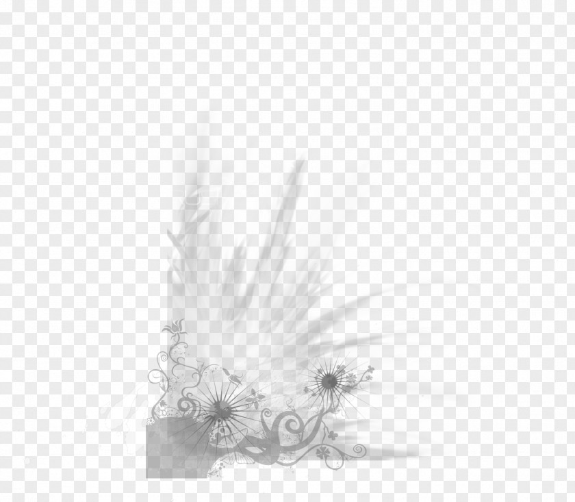 Pattern Wings White Black PNG