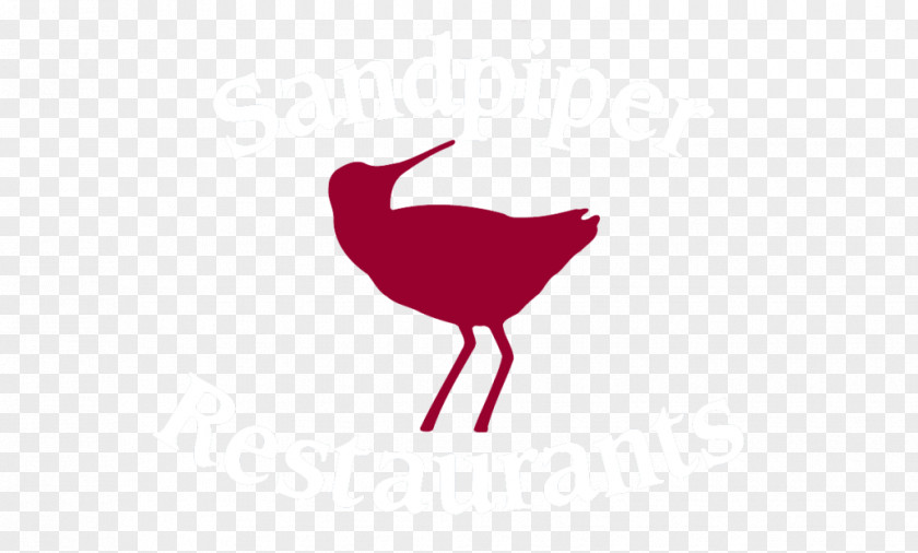 Restaurants Rooster Water Bird Beak Clip Art PNG