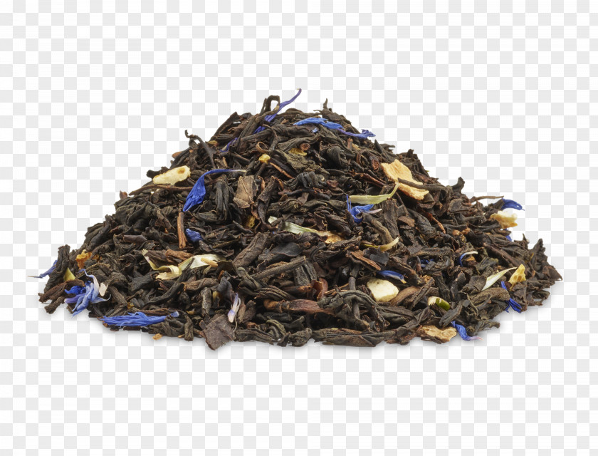 Tea Nilgiri Lady Grey Earl Darjeeling PNG