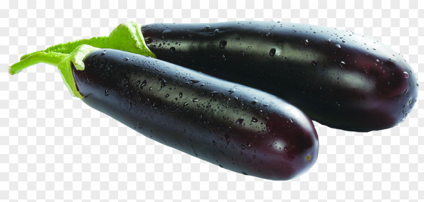 Two Eggplant Material Picture Vegetable Seed Bonsai PNG