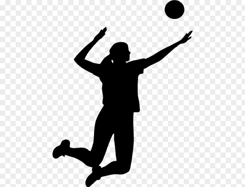 Volleyball Clip Art Image Transparency PNG