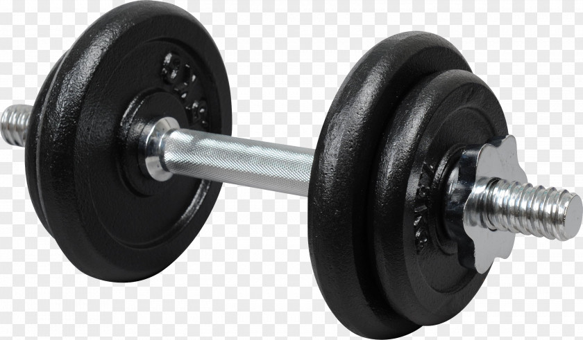 Hantel Dumbbell Barbell Kettlebell Exercise Machine Physical PNG