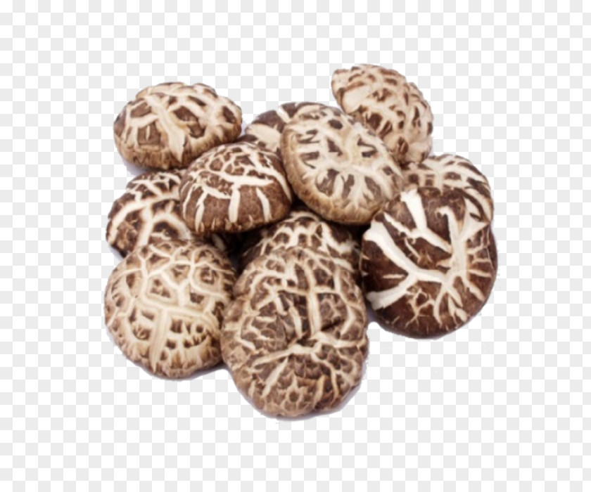 Mushroom Shiitake Organic Food Edible PNG