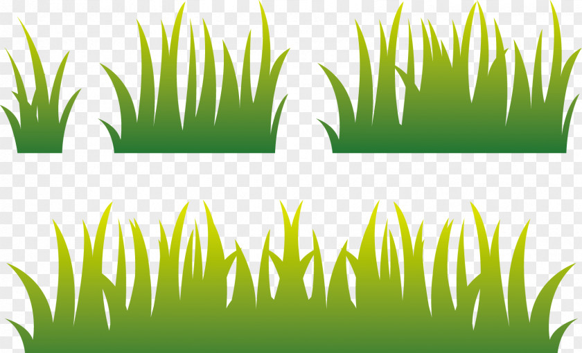 Paddy Field Lawn Euclidean Vector PNG