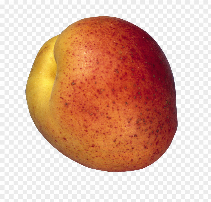 Peach Russet Burbank Apple PNG