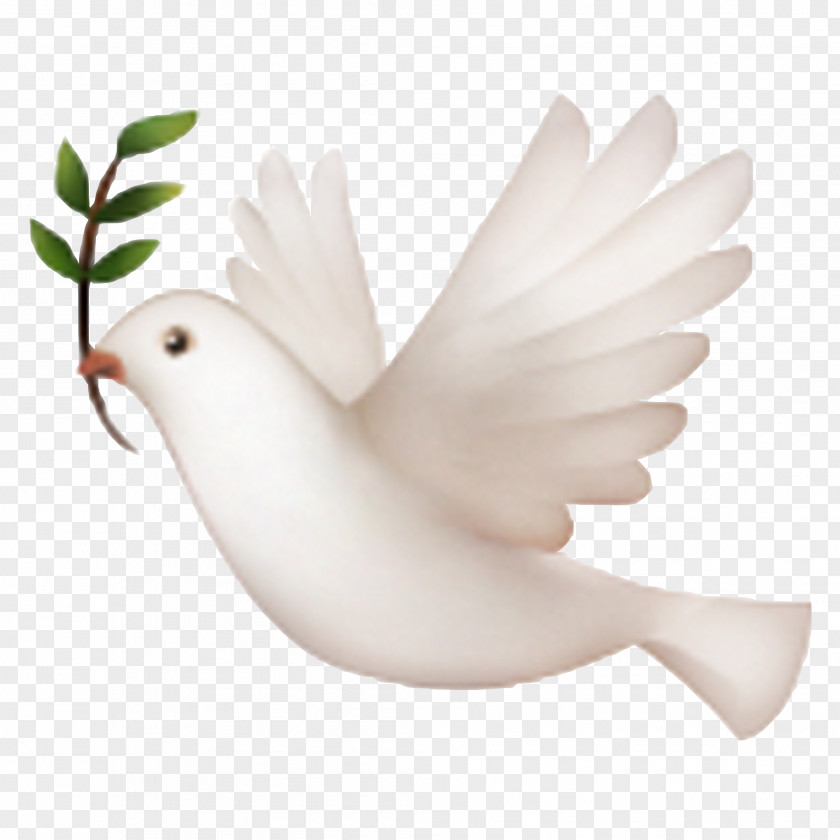 Pigeon IPhone Emojipedia Doves As Symbols PNG