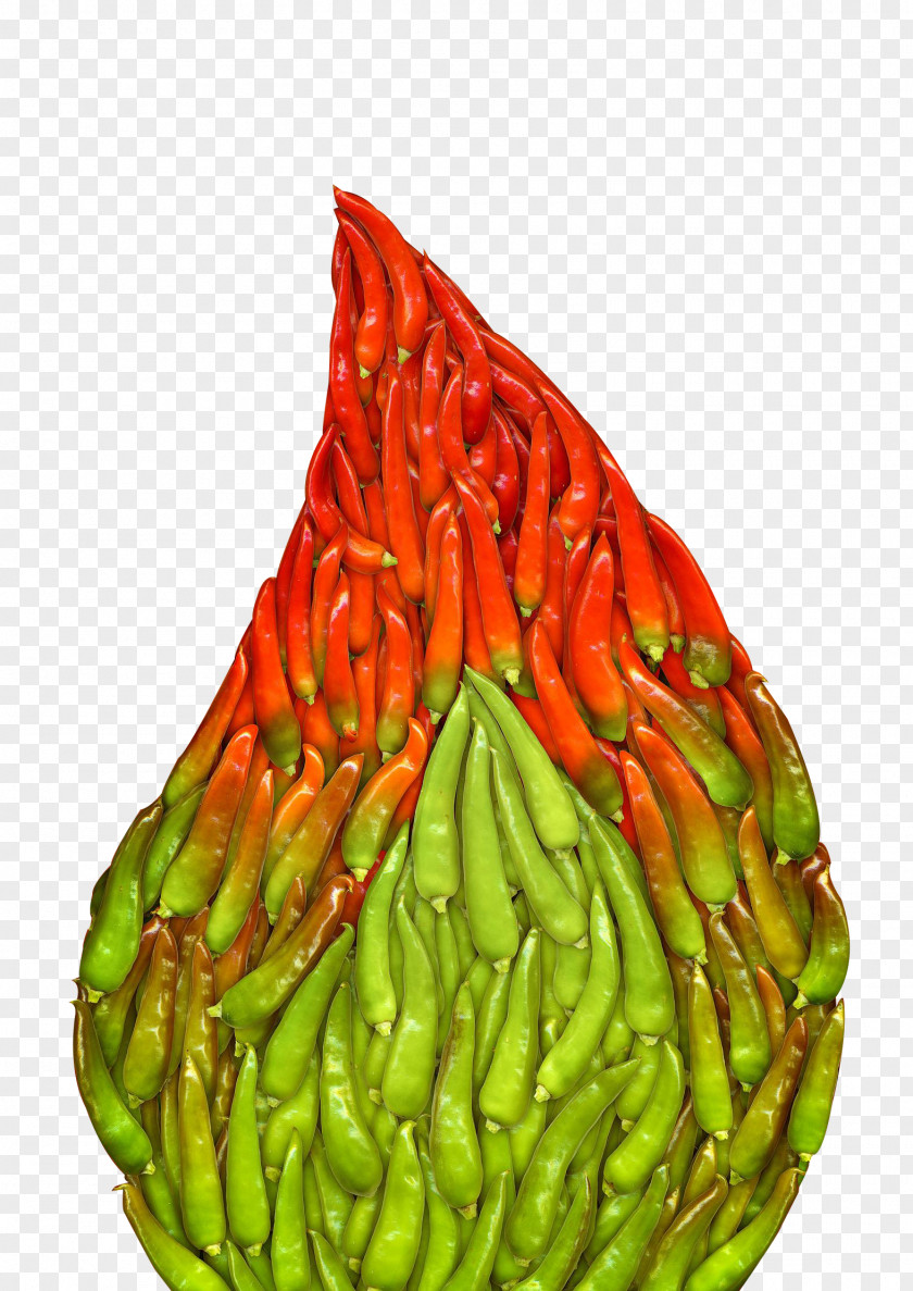 Volcano Pepper Chili Jalapexf1o Bhut Jolokia Pungency PNG