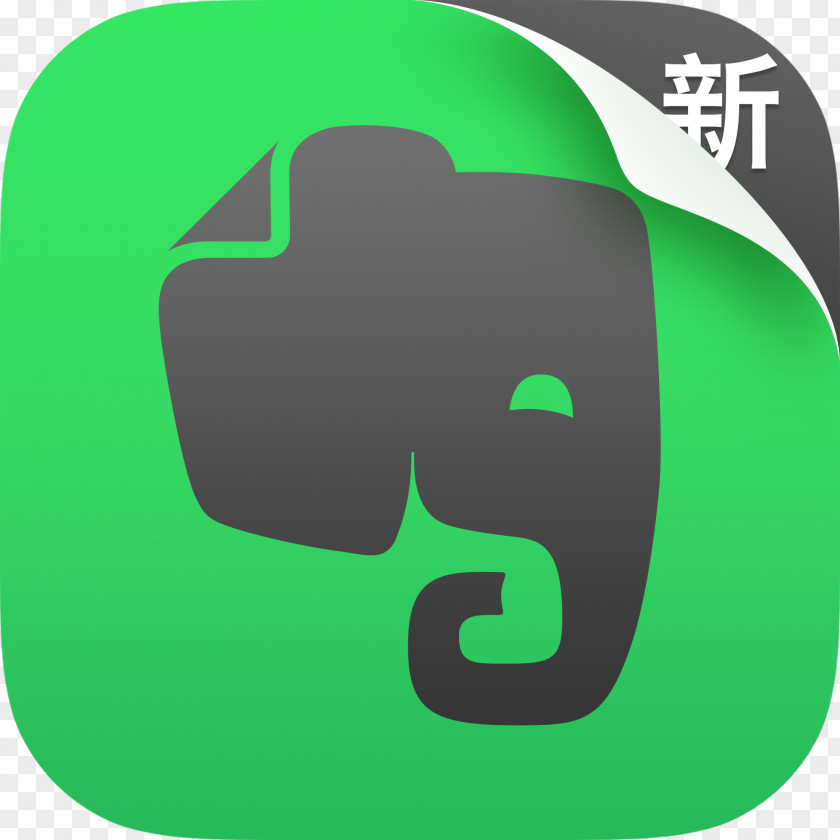 Apuntes Vector Evernote Application Software Share Icon Springpad PNG