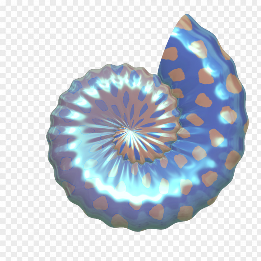 Colorful Conch Shore Seashell Clip Art PNG