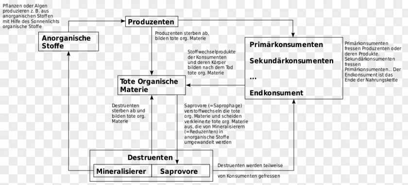 Design Paper Text Angle Nitrogen Cycle PNG