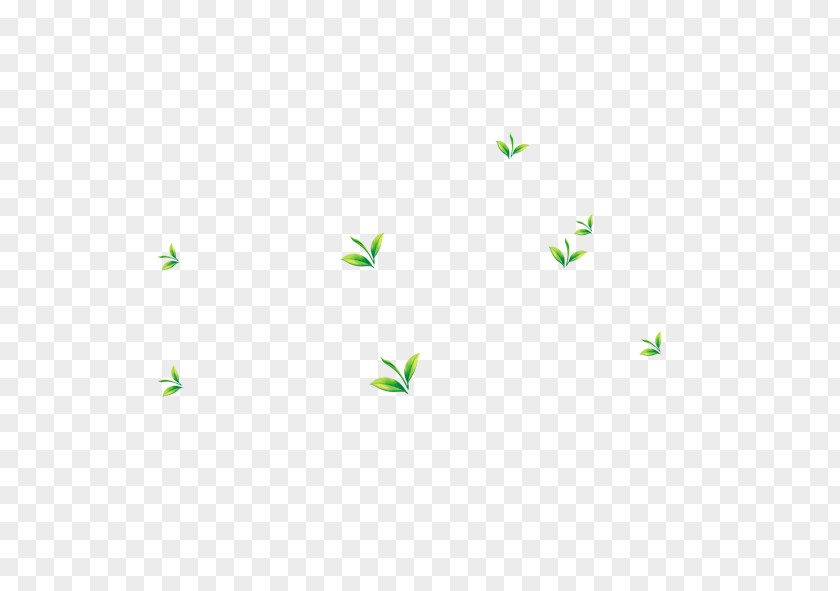 Grass Fluttering Download PNG