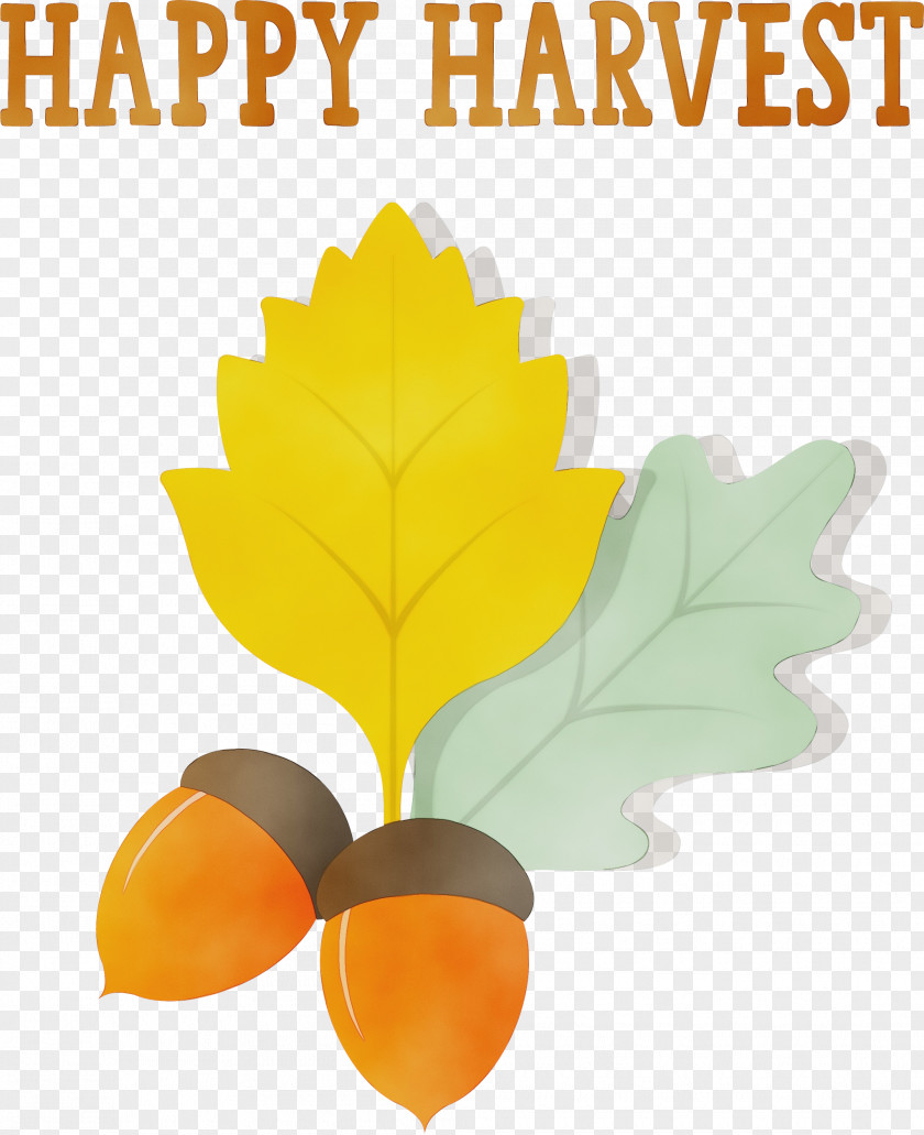 Leaf Font Tree Meter Fruit PNG