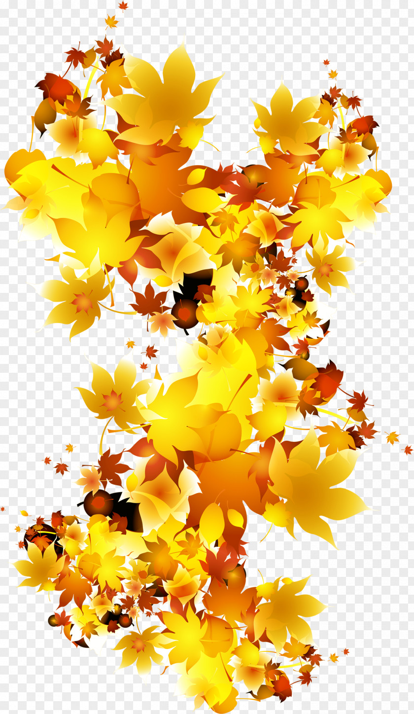 Autumn Leaves Leaf PNG