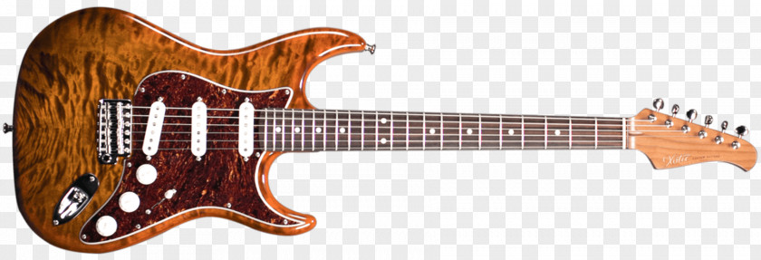 Bass Guitar Fender Stratocaster Stevie Ray Vaughan Vaughan's Musical Instruments Telecaster Corporation PNG