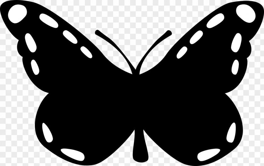 Butterfly Silhouette Insect PNG