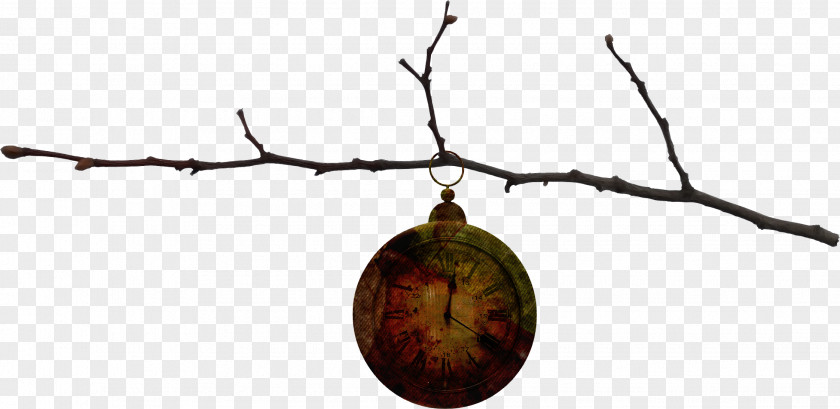 Clock Tree Branch Twig PNG