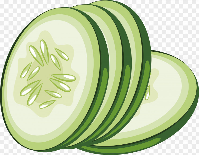 Cucumber Slice Design Vegetable Icon PNG