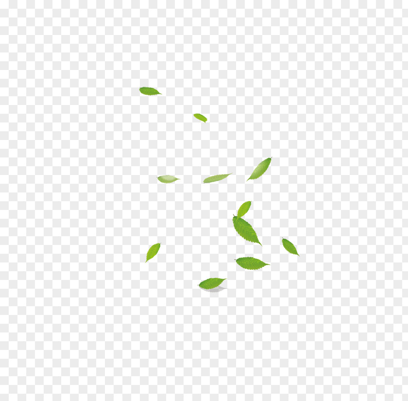Leaf Green Area Pattern PNG