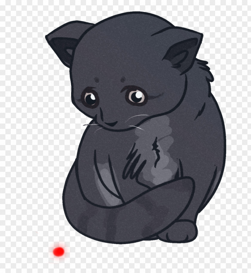 Totoro Black Cat Kitten Whiskers Carnivora PNG